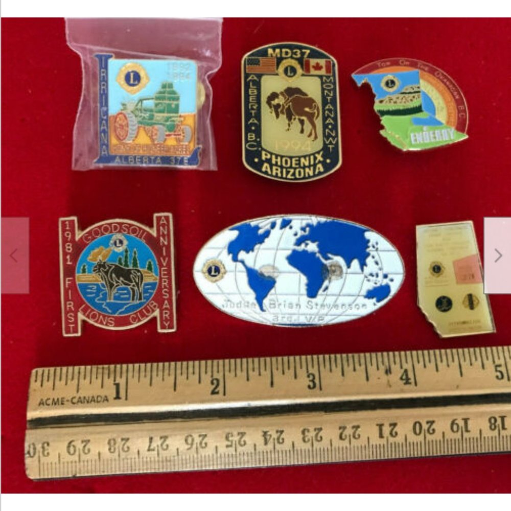 Lot of 6 Lions Club Lapel Pin Badges Canada & USA Phoenix Alberta Enderby